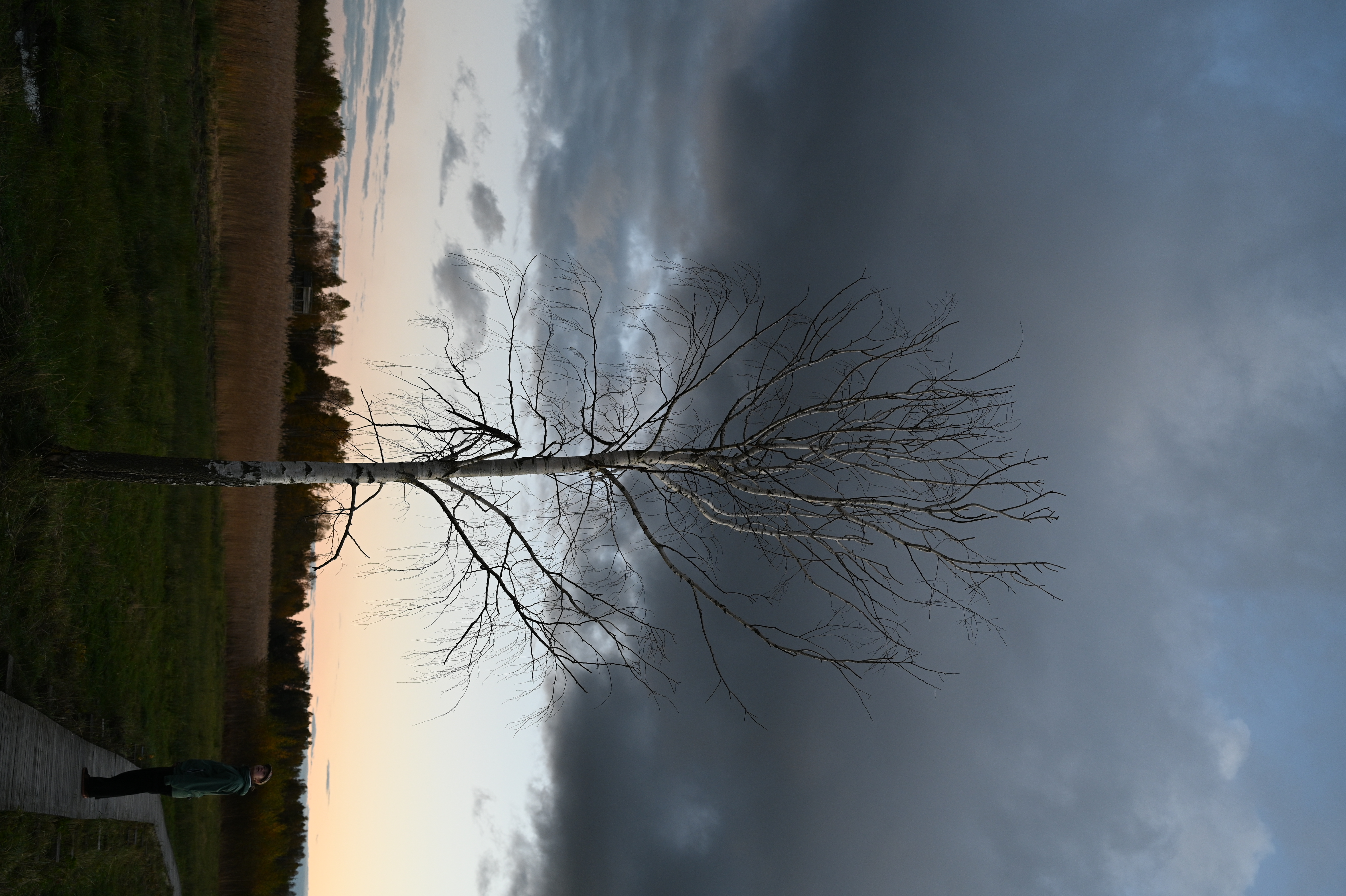 2025/10/18 - walk/DSC_0578.JPG